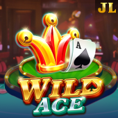 Wild Ace han online slot game